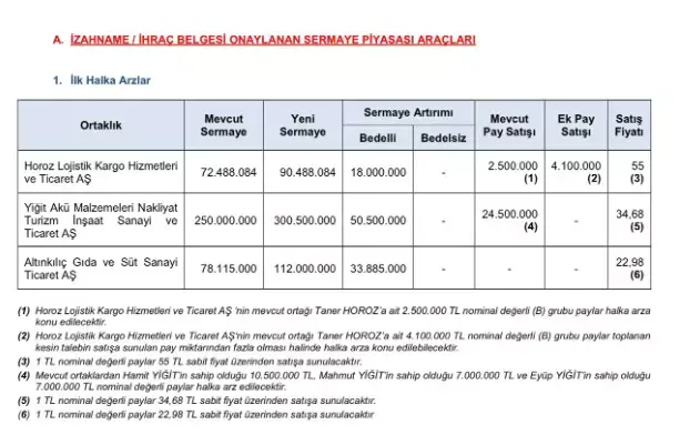 hangi şirketler halka arz olacak?