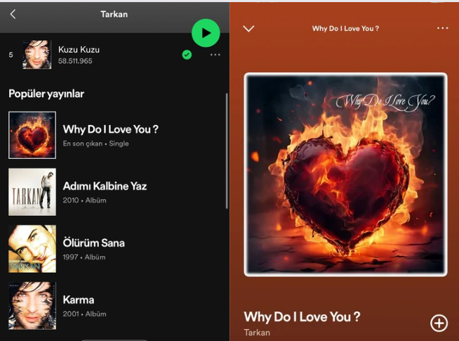 Tarkan'ın yeni şarkısı Why Do I Love You? kimin şarkısı? Tarkan yeni şarkı çıkardı mı? 2
