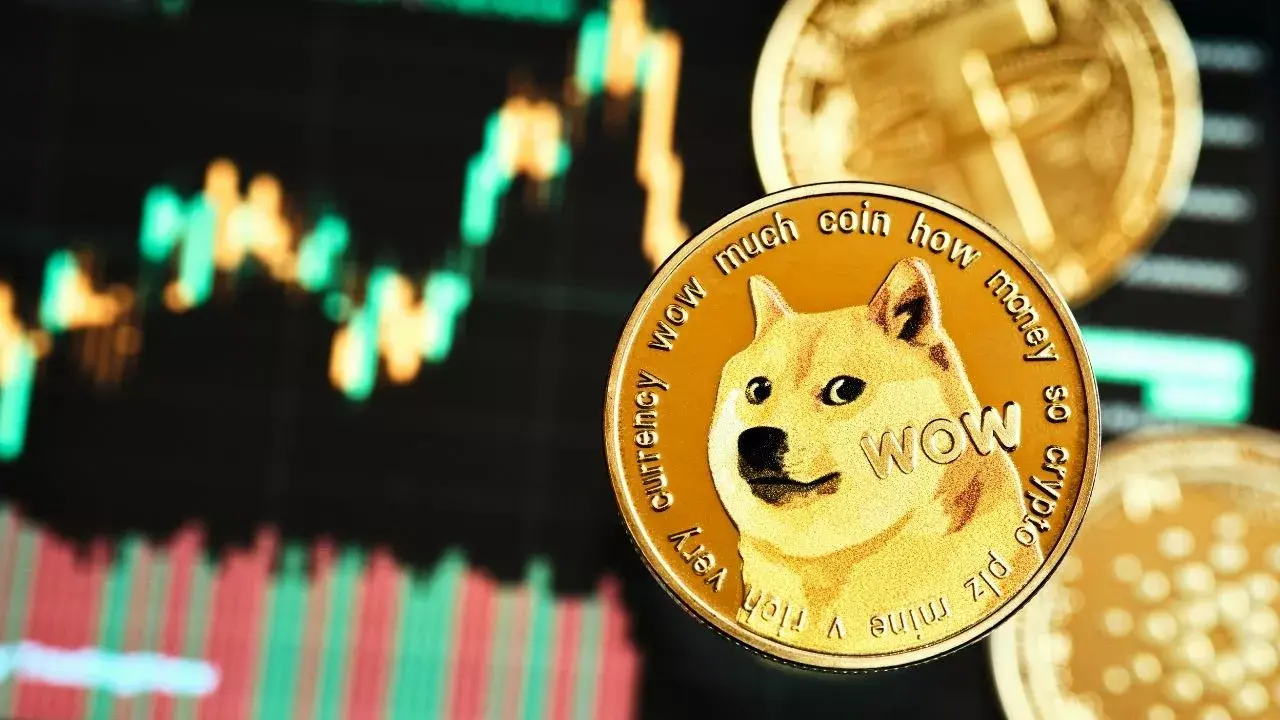 Dogecoin’le Tanınan Kabosu Hayatını Kaybetti