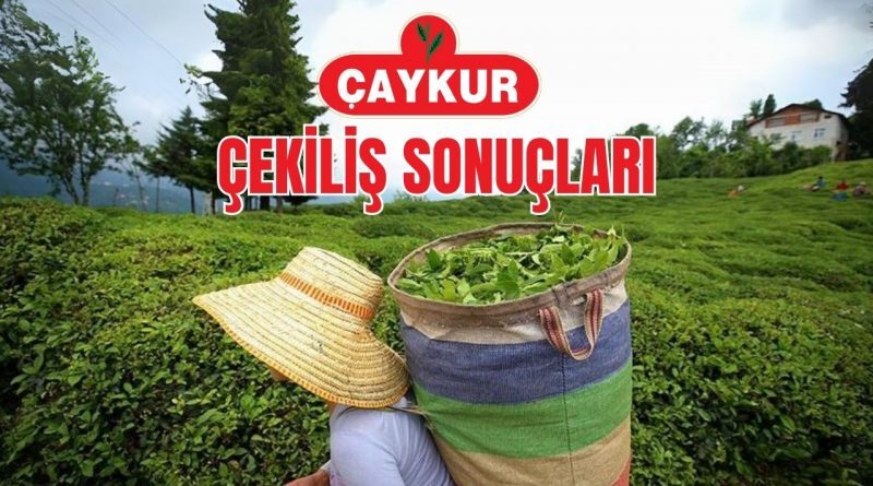 Gözler Çaykur Kura Sonuçlarında! Rize, Trabzon, Artvin Ve Giresun’da 1072 Işçi Alımı Olacak