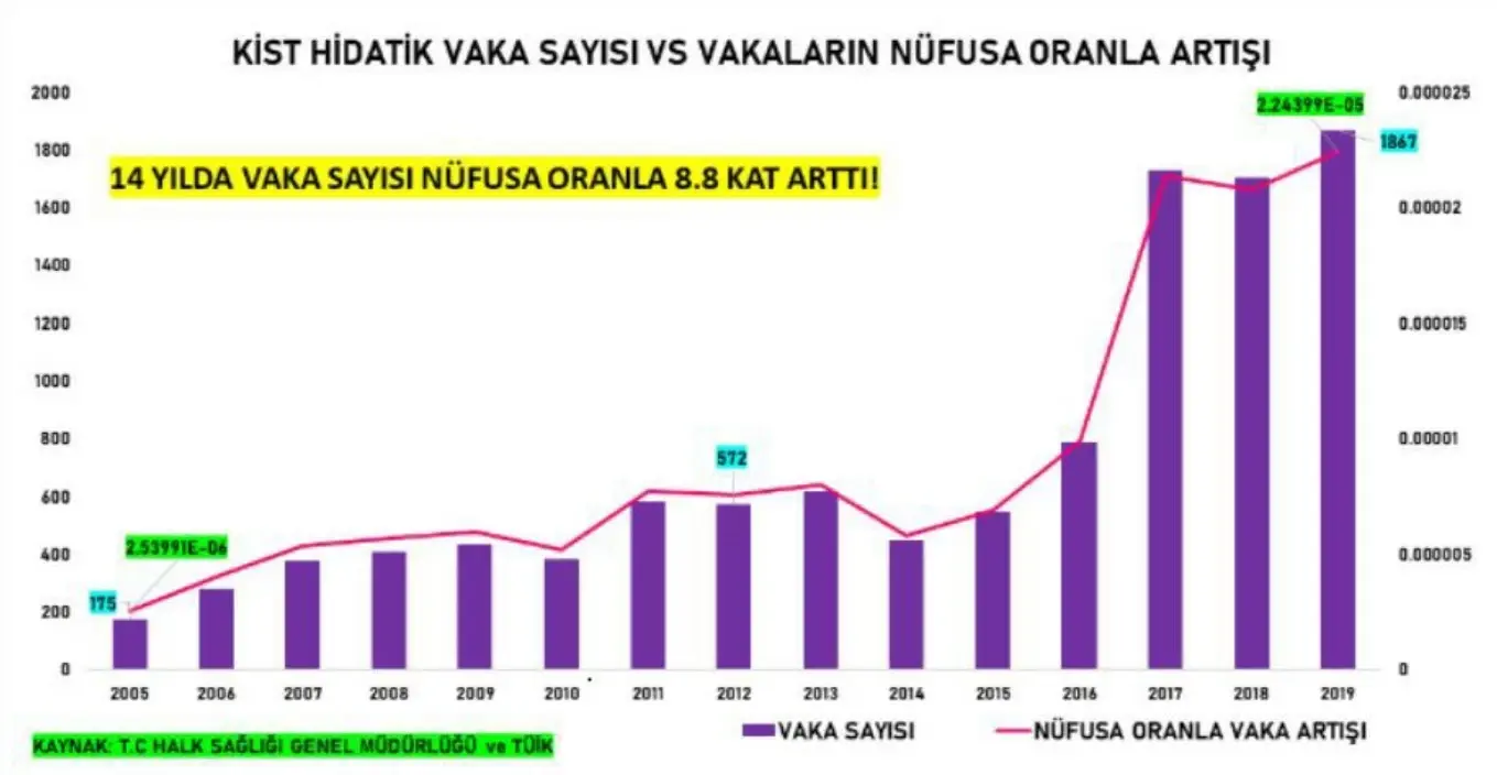 Kist Hidatik Hastalığından Nasıl Korunuruz?