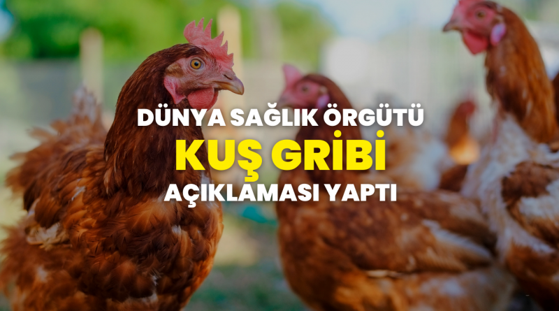 Dünya Sağlık Örgütü (DSÖ) kuş gribi halk sağlığı riskinin düşük olduğunu açıkladı 1