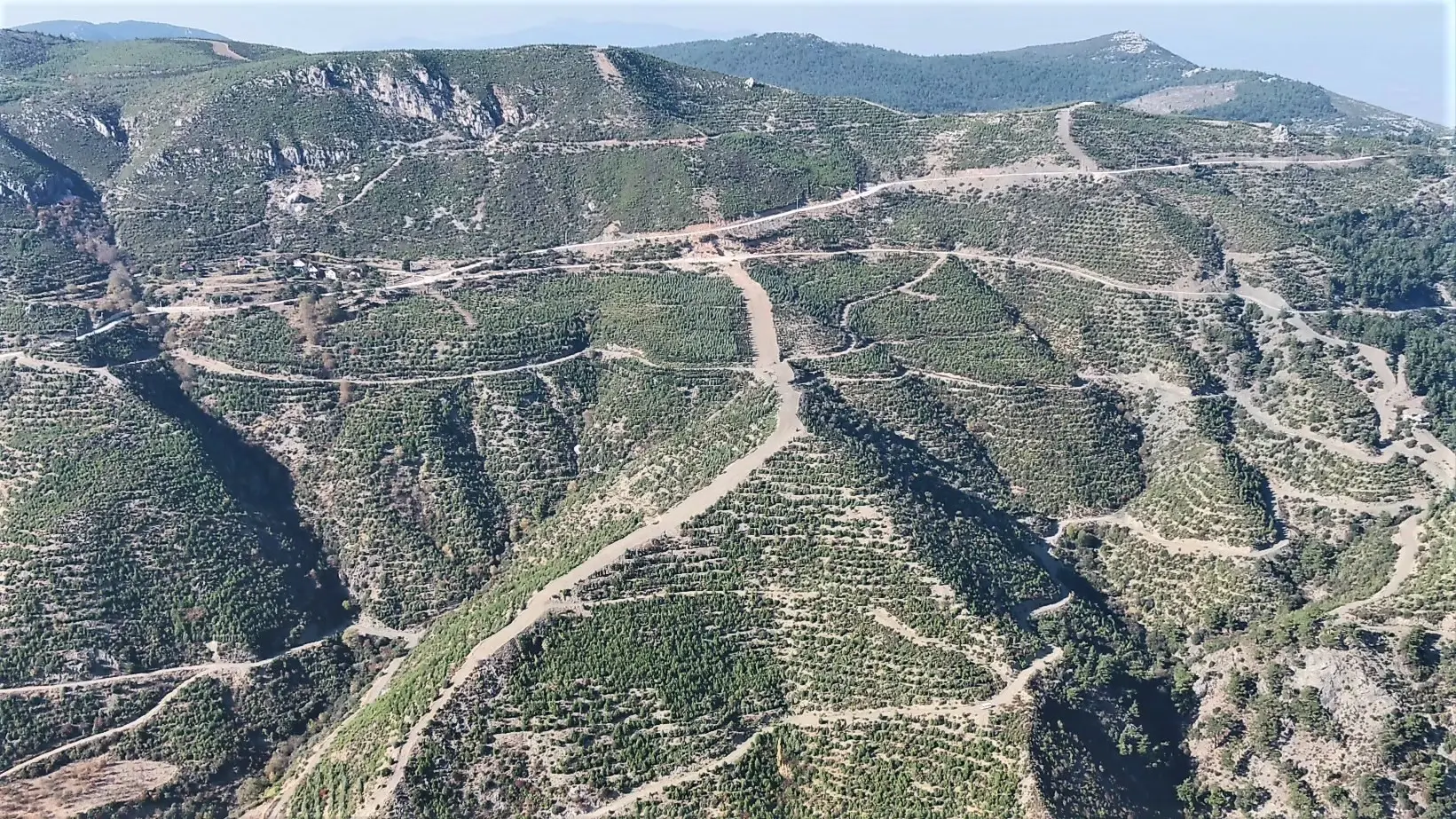 Muğla'da ormana girmek yasak mı?
