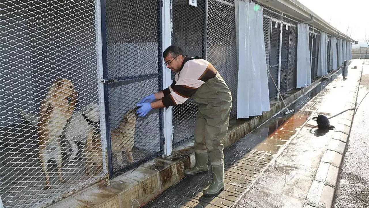 Türkiye’de Bir Ilk! Etimesgut Çiçek Ve Hayvan Hastanesi’nin Hizmetleri