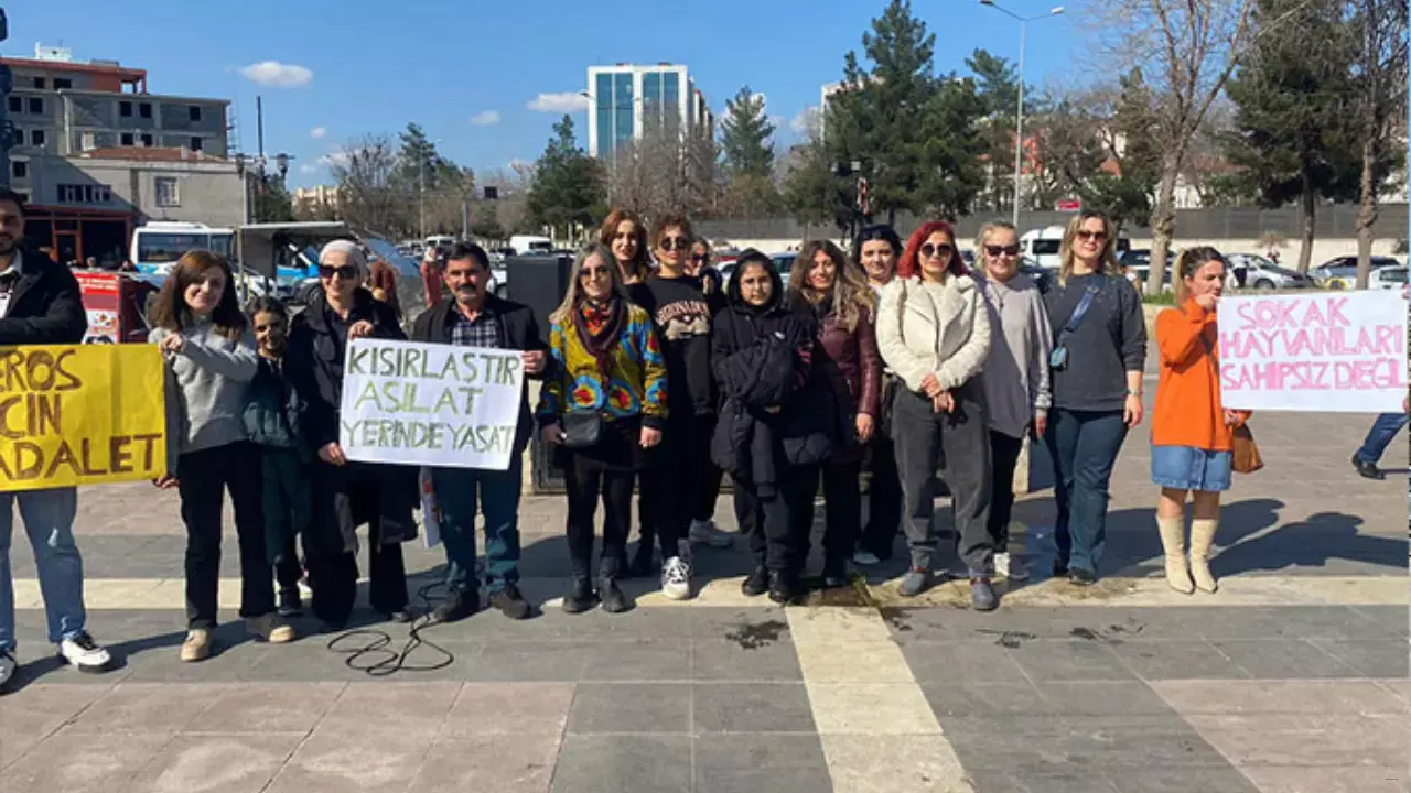 Ünlü Isimlerden Tepki Yağıyor! Nevşin Mengü ”sokak Köpeklerini Uyutma” Düzenlemesi Hakkında Konuştu