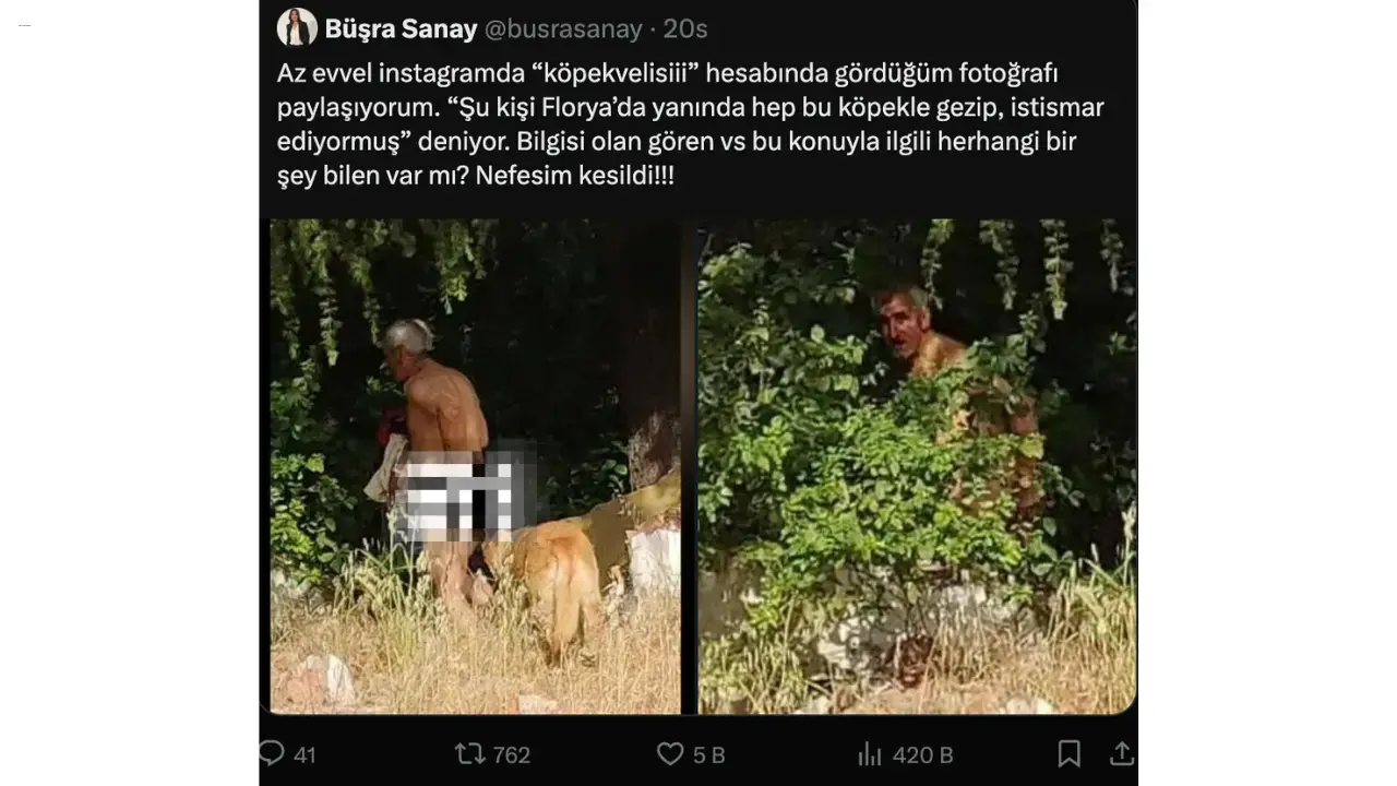 Akıl Hastanesinden çıkarılması Için Imza Toplanmıştı! Hüseyin Durmuş’un Köpekleri Istismar Ettiği Iddia Edildi