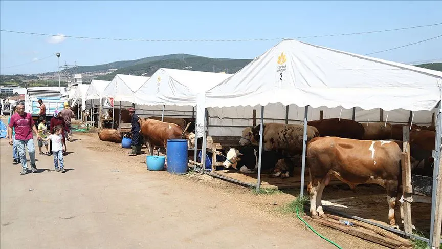 Bursa kurban kesim yerleri nerede?