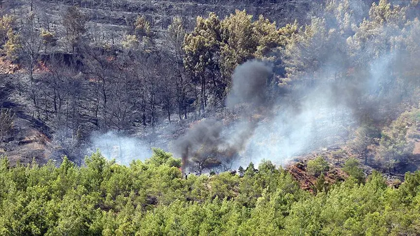 Girişi Yasaklanan Ormanların Listesi Yayımlandı! 10 Haziran Itibarıyla Bu Ormanlara Girmek Yasak