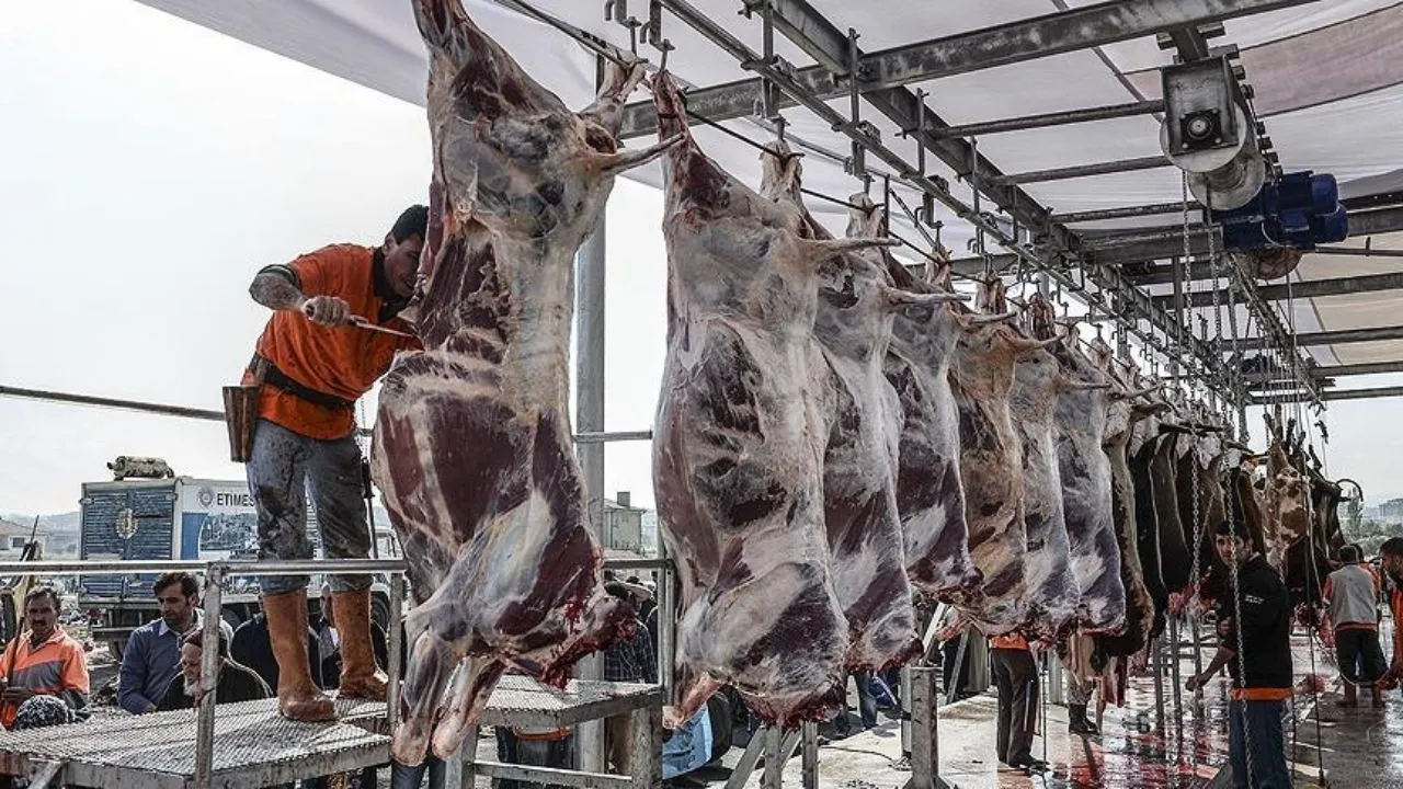 Kurban Etlerinin Bozulmaması Için Kesimden Sonra Etin Soğuyana Kadar Bekletilmesi Gerekiyor