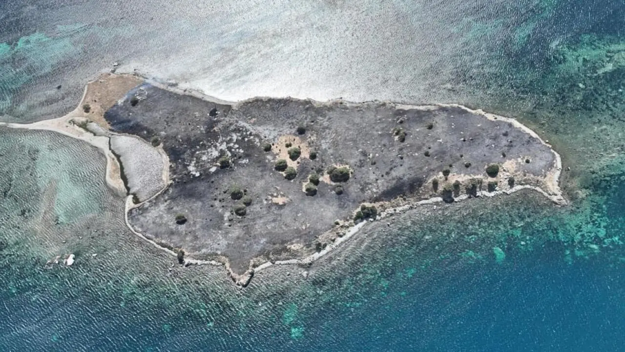 Yangında Küle Dönen Çiçek Adası Seferihisar İzmir’de Tavşan Adası Ve Kanlı Ada Olarak Da Biliniyor