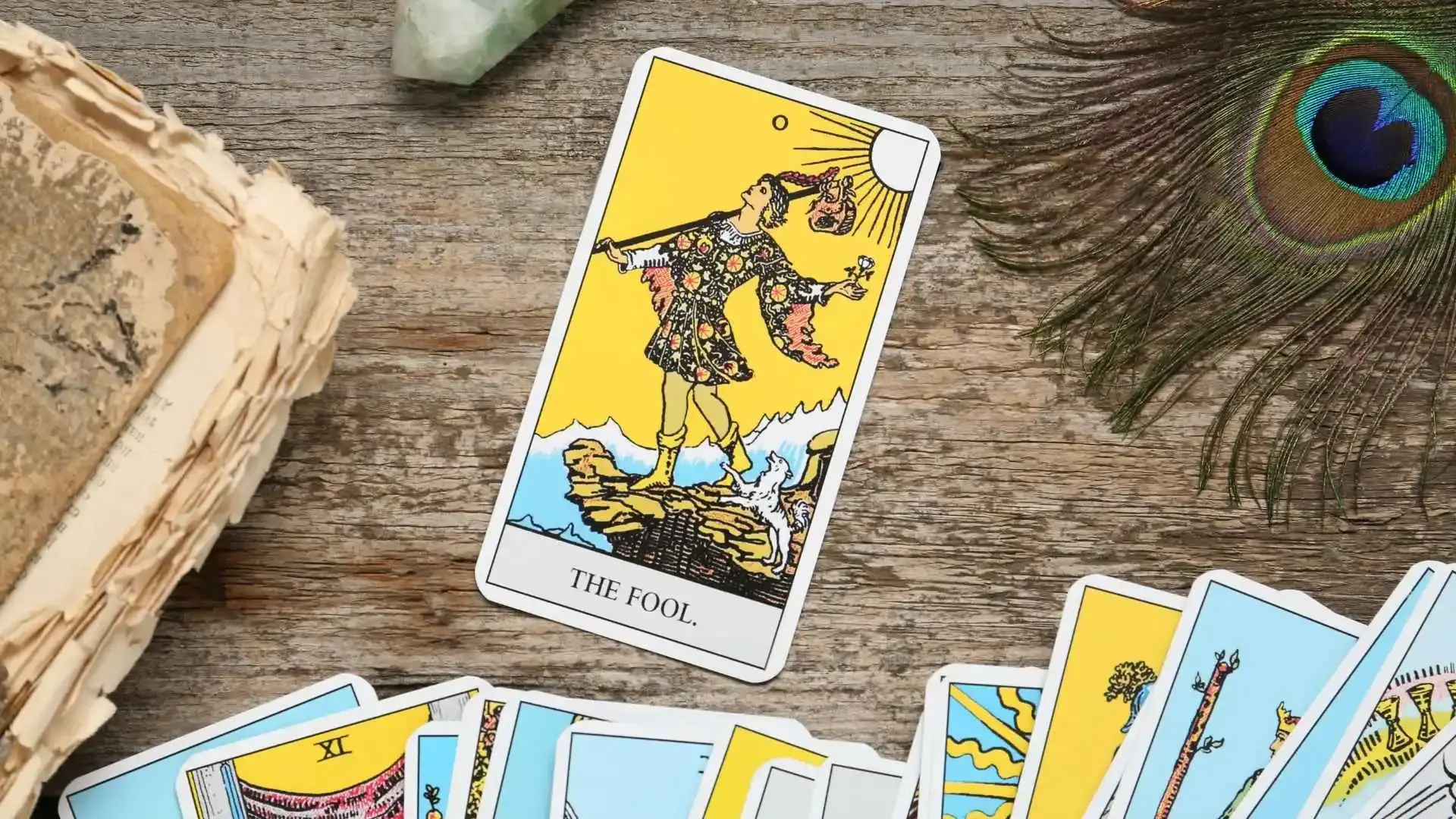 günlük tarot falında deli kartı ne anlama gelir iş para