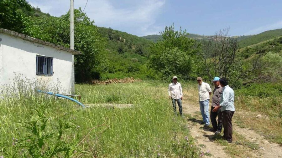 şeker suyu nedir