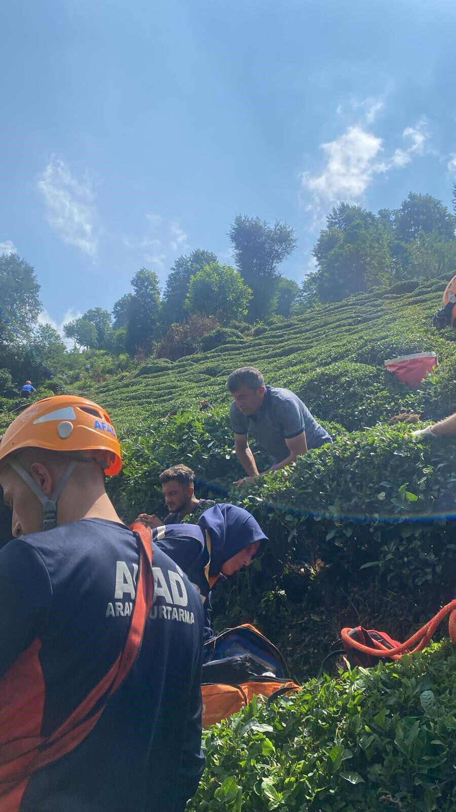 Çay toplayan vatandaş elektrik akımına kapıldı! - 3. Resim