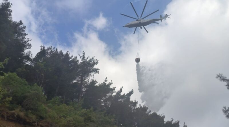 Hatay'ın Arsuz ilçesinde çıkan orman yangını kontrol altına alındı 1