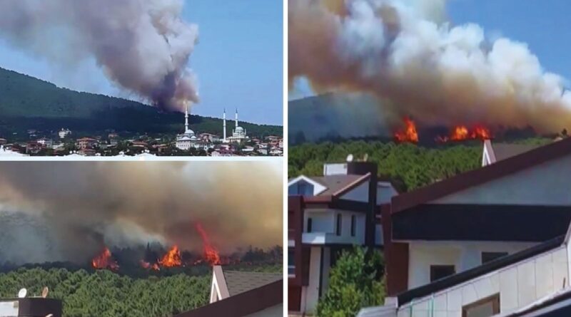 İstanbul Pendik'teki Aydos Ormanı'nda yangın çıktı! Alevler korkutucu derecede ilerliyor 1