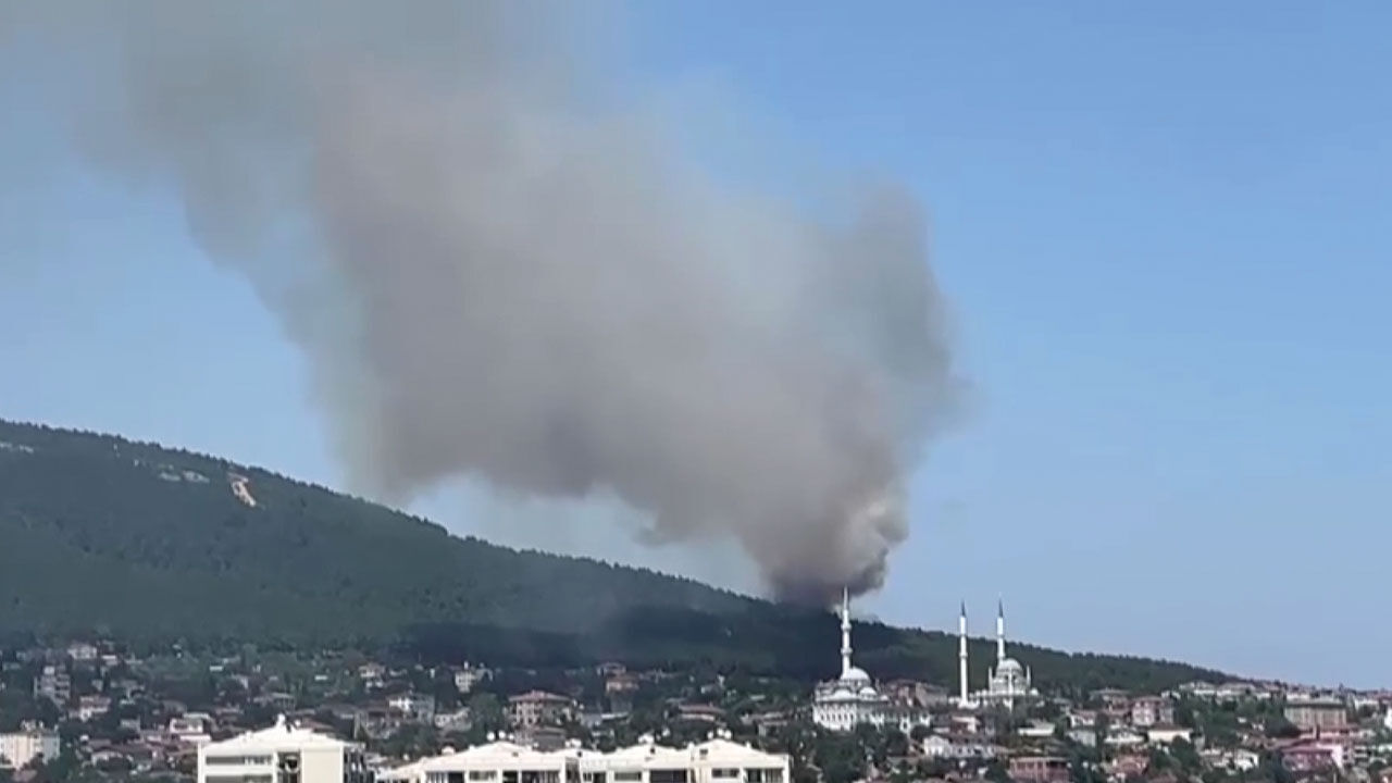 İstanbul Pendik'teki Aydos Ormanı'nda yangın çıktı! Alevler korkutucu derecede ilerliyor - 1. Resim