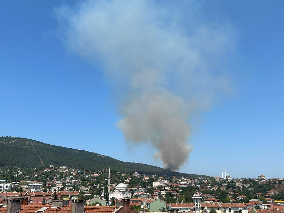 İstanbul'un Pendik ilçesine bağlı Aydos Ormanı'nda çıkan yangını söndürme çalışmaları devam ediyor - 1. Resim