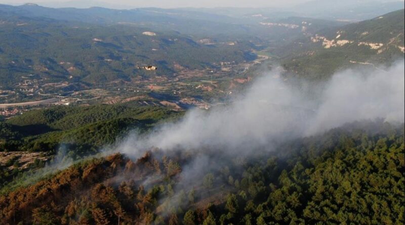 Kastamonu ve Karabük'te orman yangını! Hızla yayılan alevler kontrol altında 1