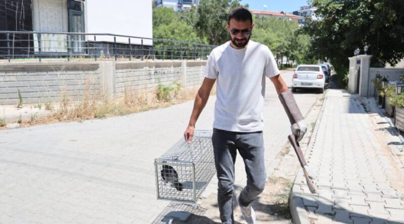 Kaybolan papağanı bulan ekipler söylediklerini duyunca hemen harekete geçti 7