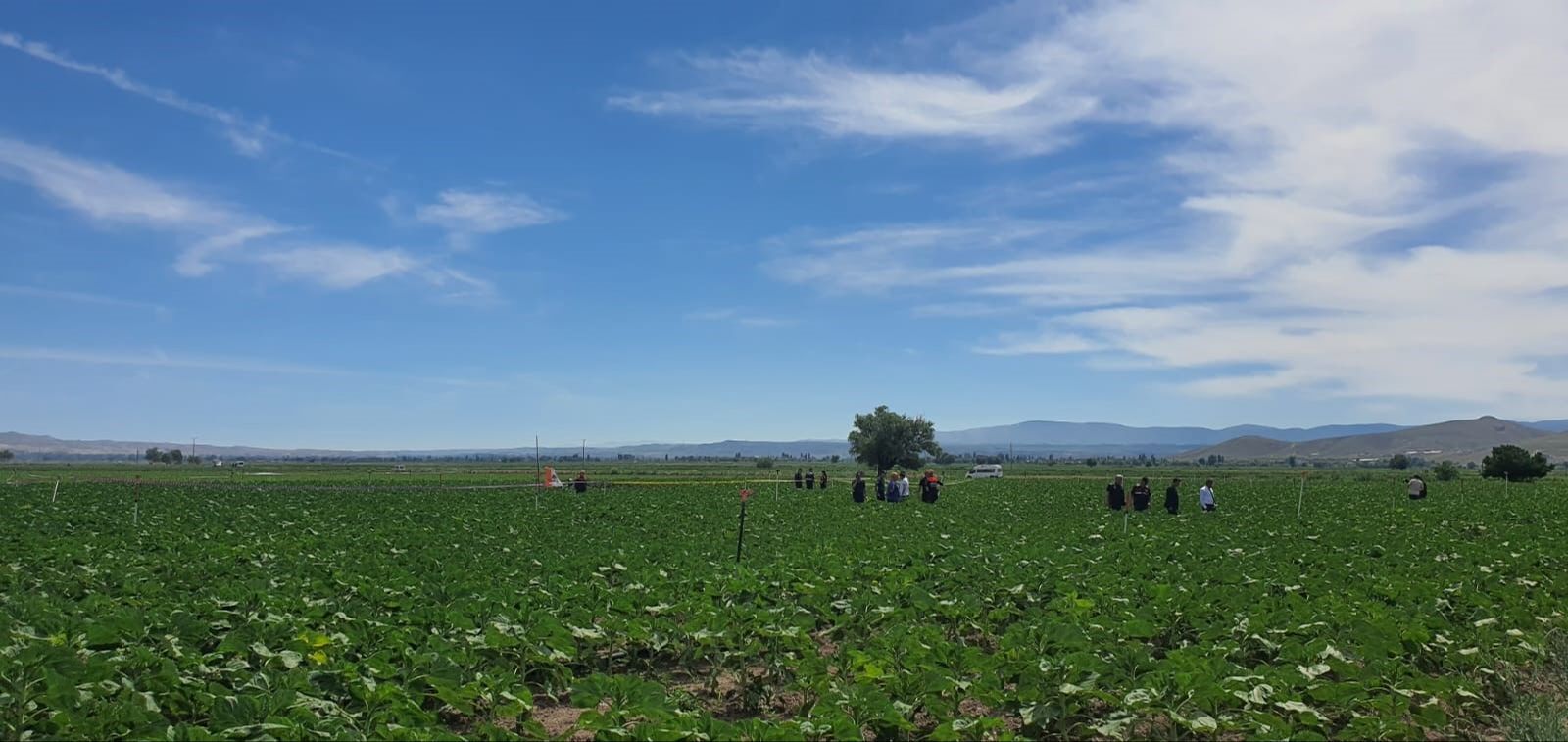 Kayseri'de düşen eğitim uçağının neden düştüğü henüz bilinmezken çalışmalar devam ediyor - 3. Resim