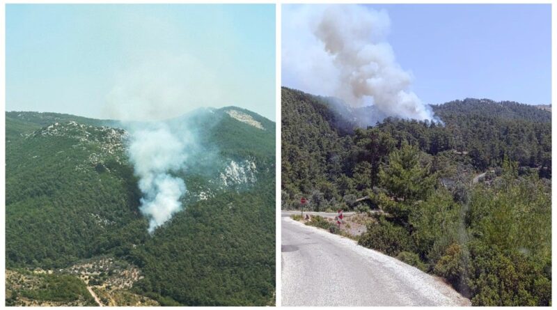 Muğla Milas'ta orman yangını! 2 hektar alan zarar gördü 1