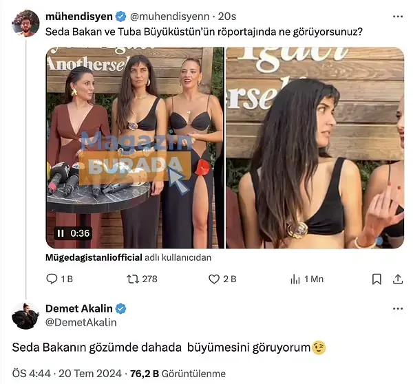 zeytin ağacı konusu ne