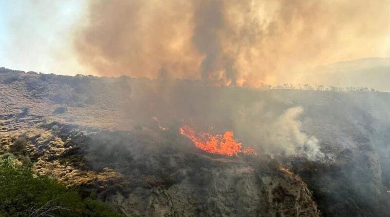 Tekirdağ Şarköy'de çıkan orman yangına müdahale devam ediyor 1