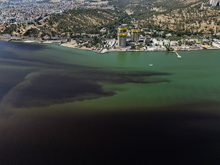 İzmir Bayraklı balık kokusu neden oldu