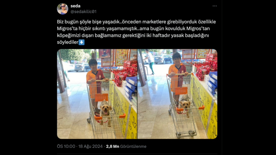 migrosa evcil hayvan girmesi yasak mı