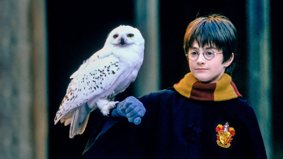 Harry Potter Ateş Kadehinde ne oluyor?