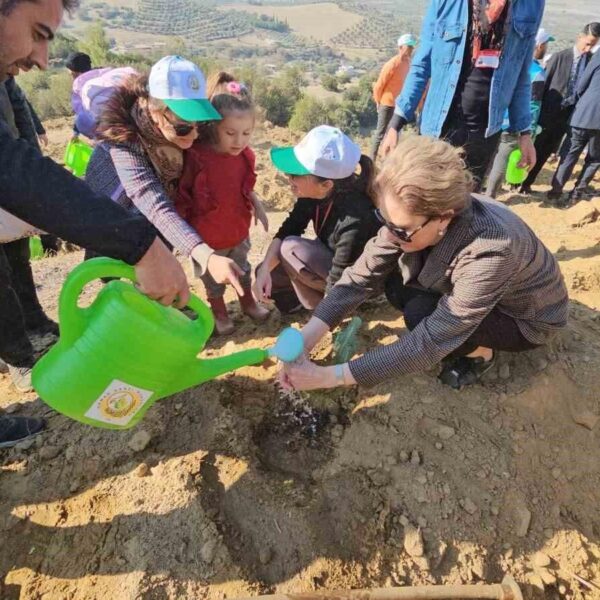 250 Fıstık Camı Nazilli'de Toprakla Buluştu-1