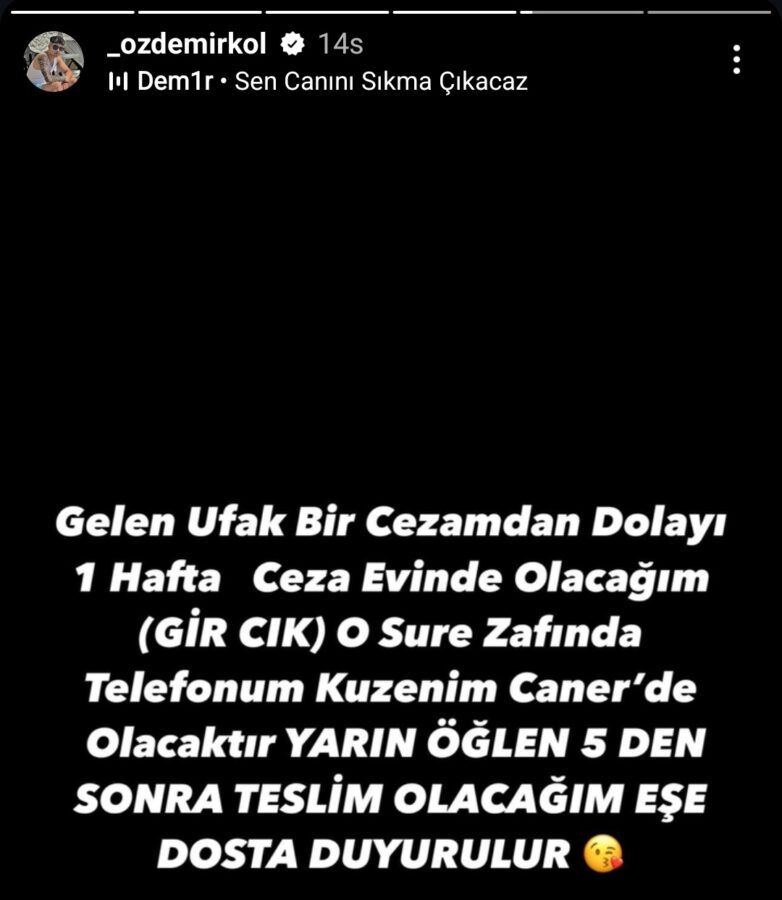 TikTok Mehmet Özdemirkol neden cezaevine girdi