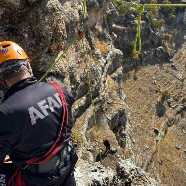 AFAD ekipleri kayalıklardan keçileri kurtardı-3