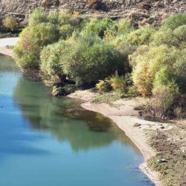 AFAD, Hüsamettin Yalgettekin'i bulmak için Dicle Nehri'nde arama kurtarma çalışması yürütüyor-2