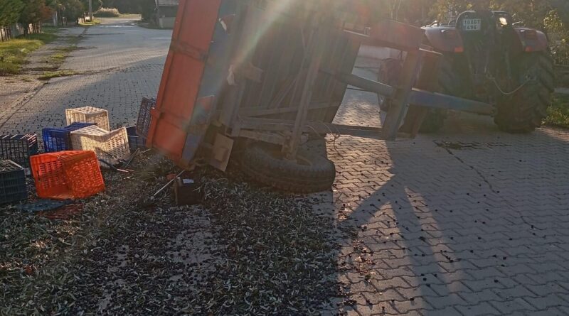 Balıkesir'de Zeytin Yüklü Traktörün Devirmesi Sonucu 5 Kişi Yaralandı 1