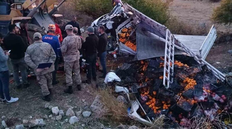 Bitlis'te Meyve Kamyonet Kazasında Bir Ölü Bir Yaralı 1