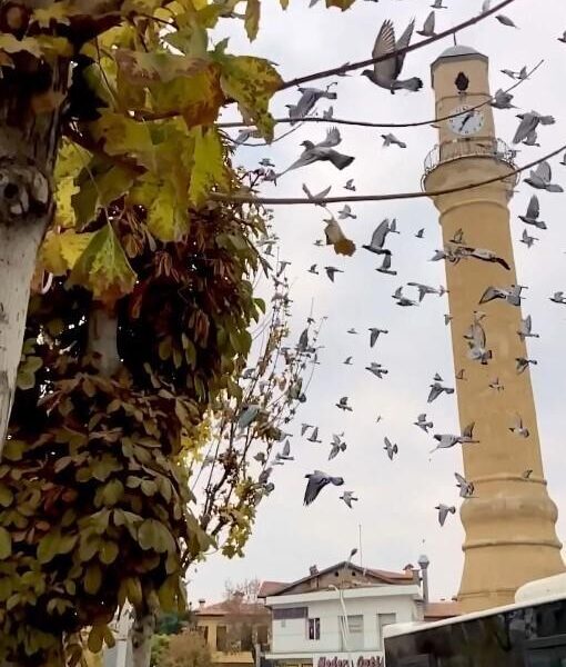 Çorum Belediyesi Sonbaharda Çorum Video Yarışması