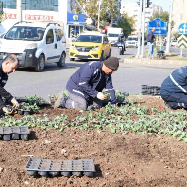 Diyarbakır 1 milyon çiçekle renkleniyor