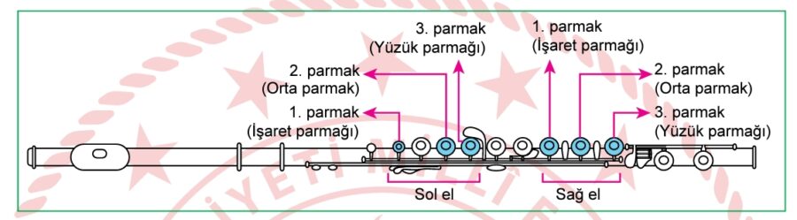 LGS flüt sorusu cevabı