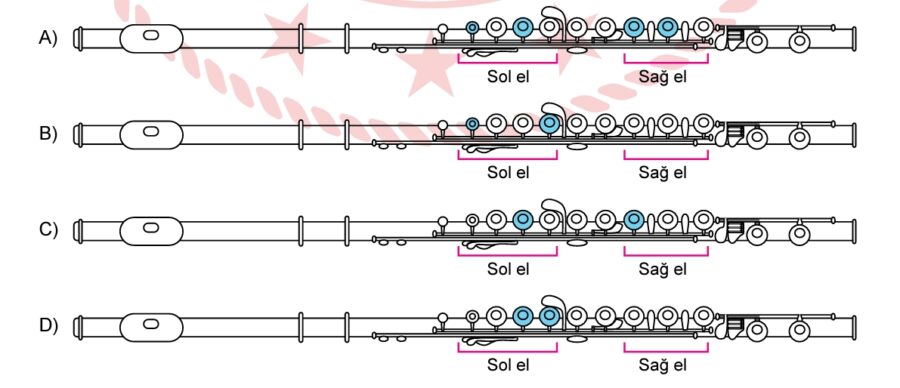 LGS flüt sorusu 2024 cevabı