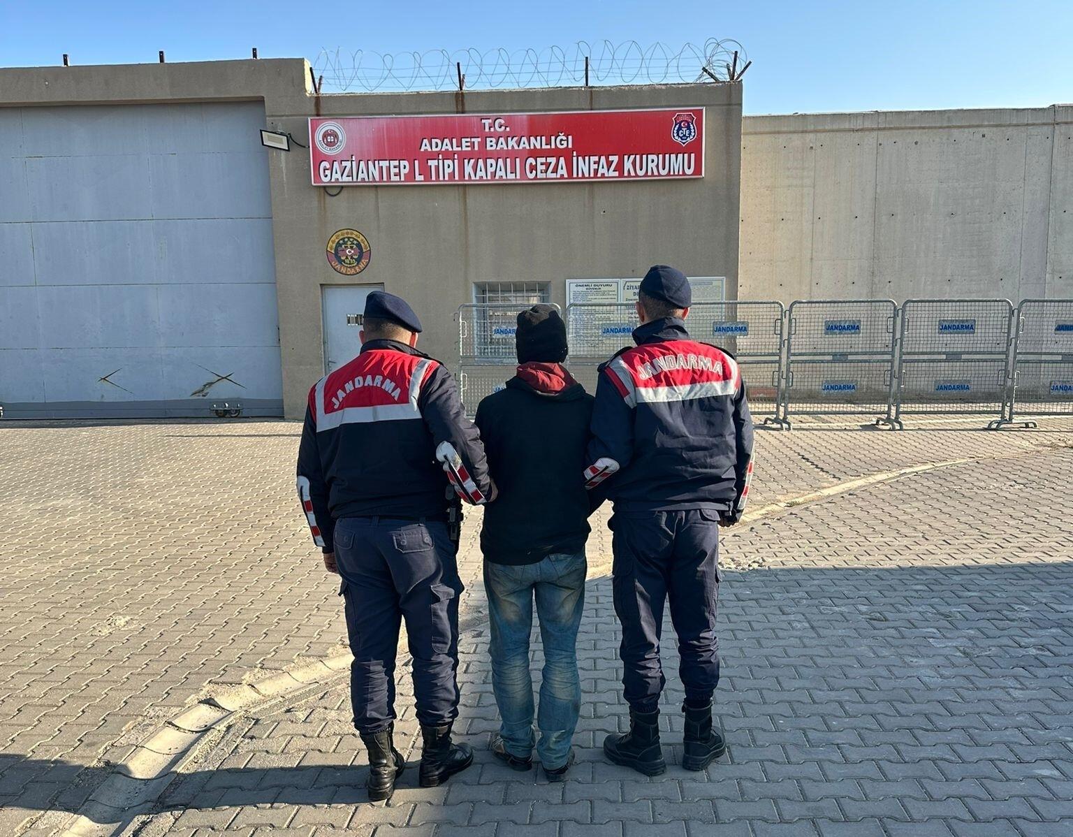 Gaziantep’te Zeytin Hırsızı Suçüstü Yakalandı