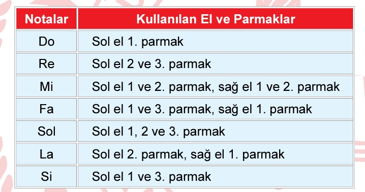 LGS flüt sorusu çözümü