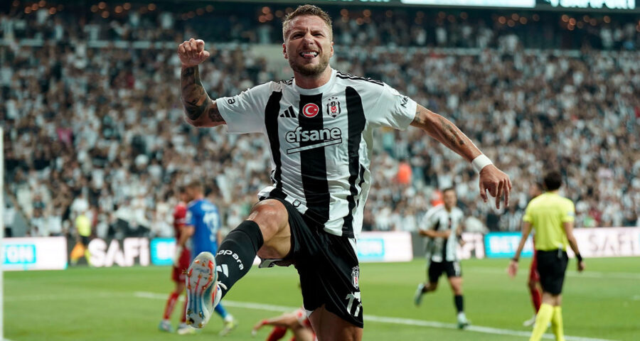 Immobile neden yok