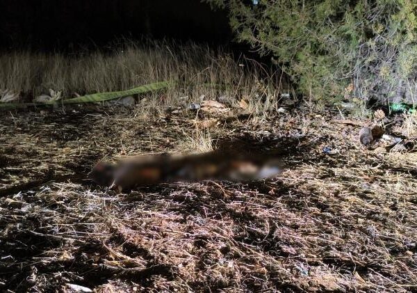 Kırşehir’de silahlı kavga: 1 ölü, 1 yaralı
-12