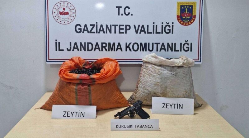 M.B. Zeytin Çalıp Gaziantep'te Suçüstü Yakalandı 1