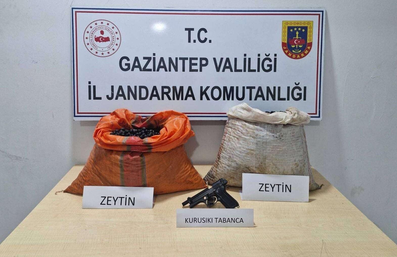 M.B. Zeytin Çalıp Gaziantep’te Suçüstü Yakalandı