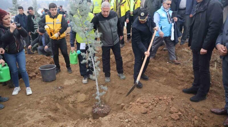 Malatya'da 15 Bin Fidan Dikildi 1