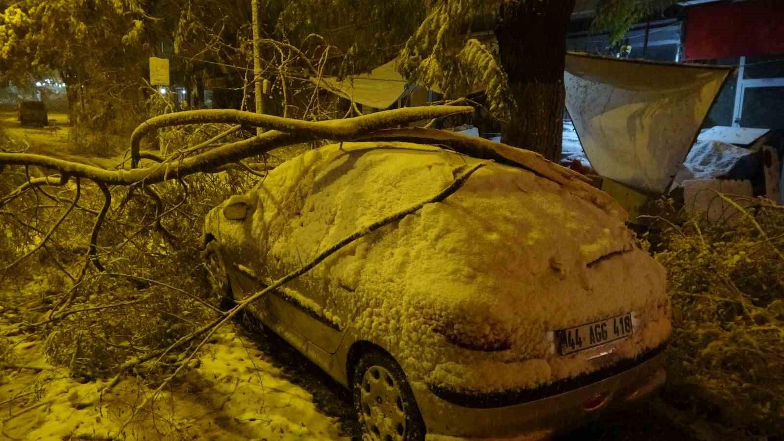 Malatya’da Kar Yağışı Ağaçların Araçlara Devrilmesine Yol Açtı