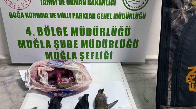 Muğla'da Kaçak Avlayan İki Kişiye Para Cezası ve Tazminat 1