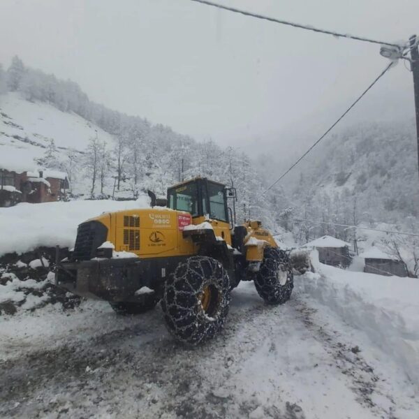 Rize Ardeşen köyünde karla karşı karşıya kalan bungalov-1